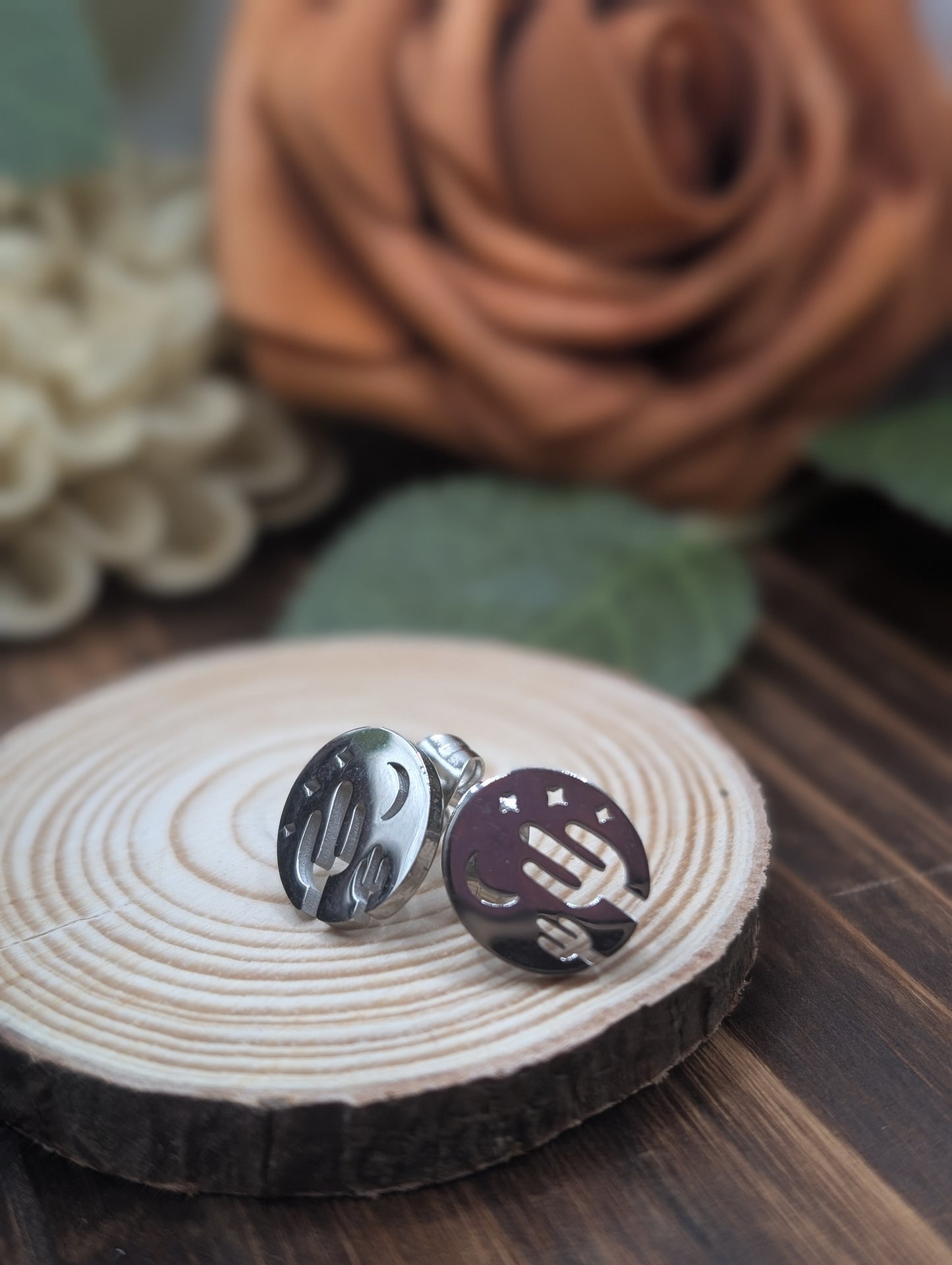 Desert Scene stud earrings