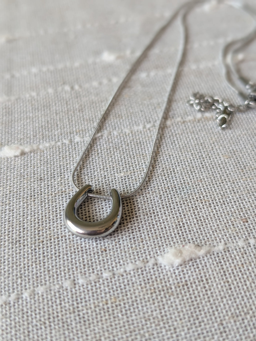 Bullseye horseshoe necklace