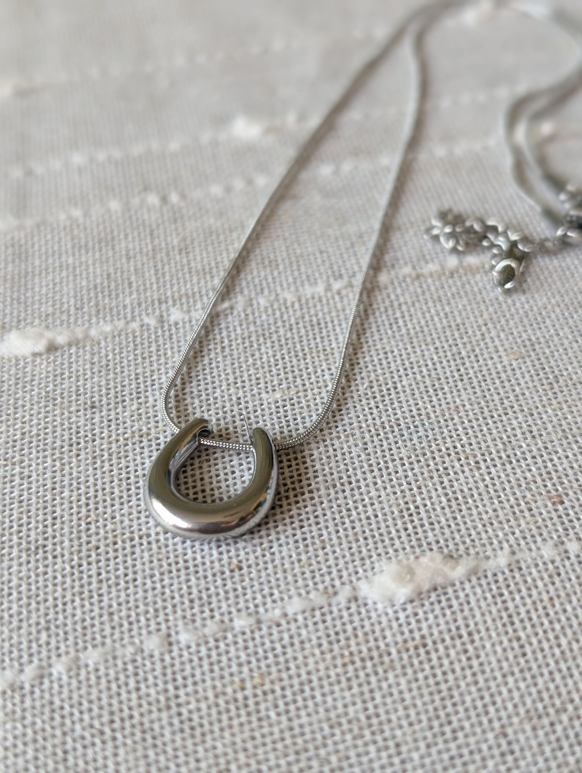 Bullseye horseshoe necklace