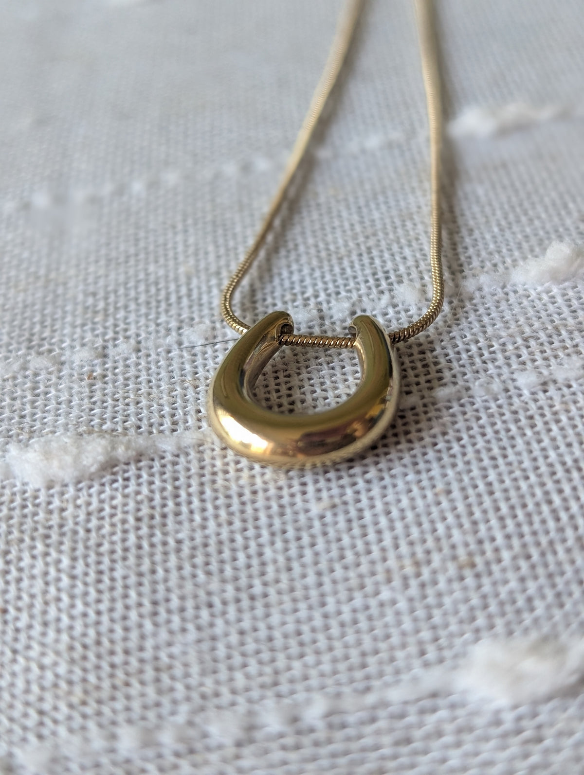 Bullseye horseshoe necklace