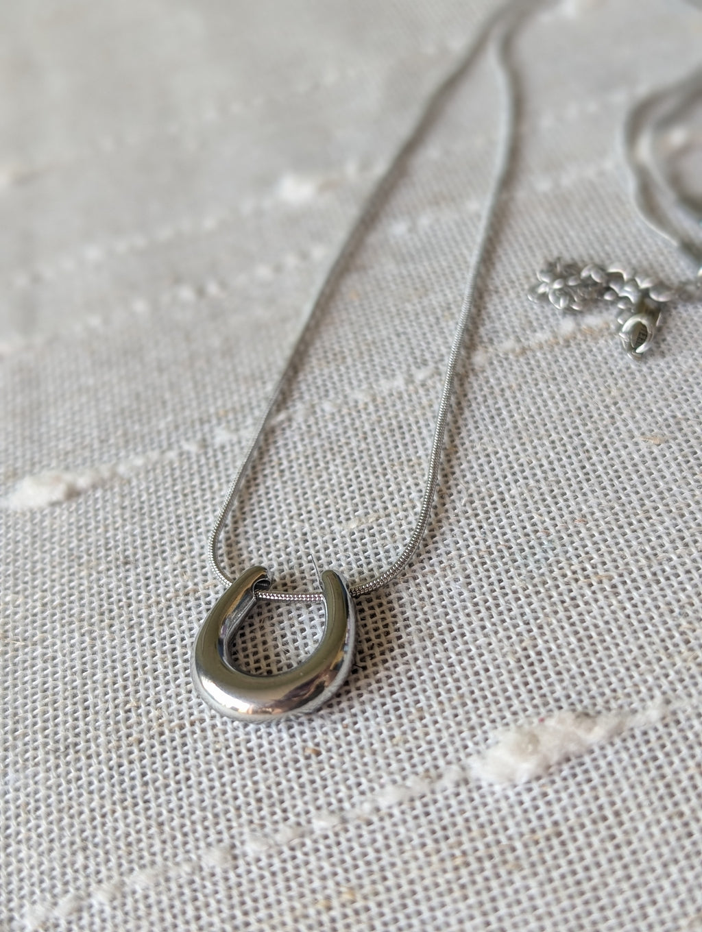 Bullseye horseshoe necklace
