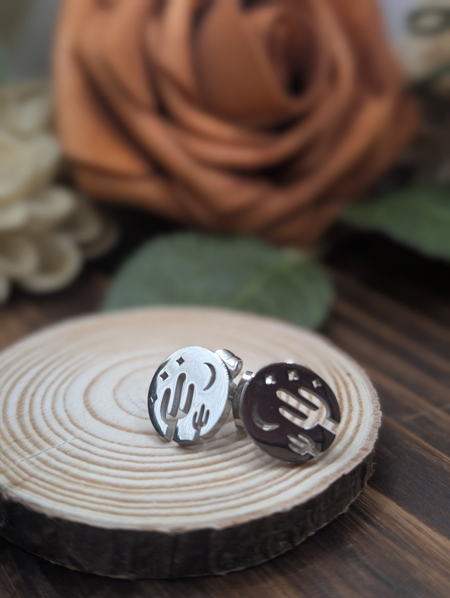 Desert Scene stud earrings